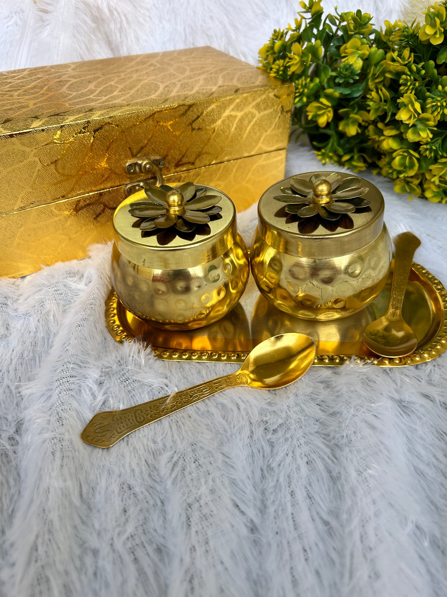 Premium Brass Finish Dry Fruit Jar Set with Tray & Spoon